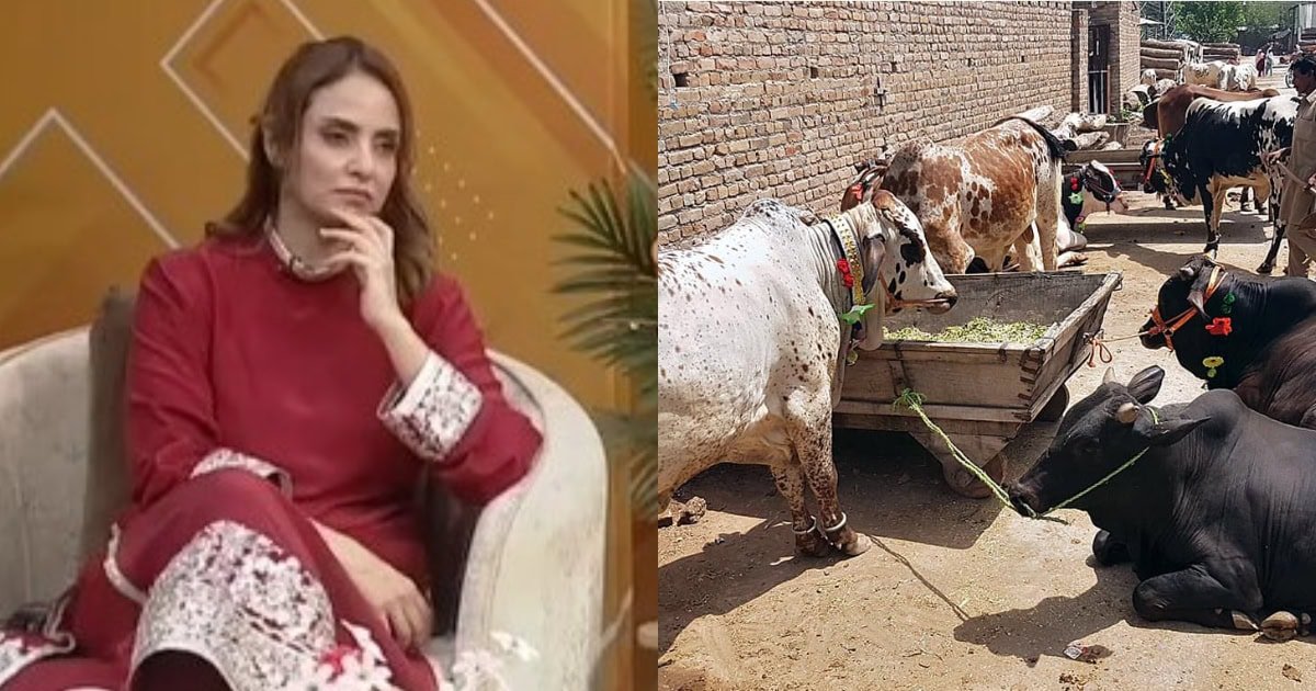 nadia-khan-1