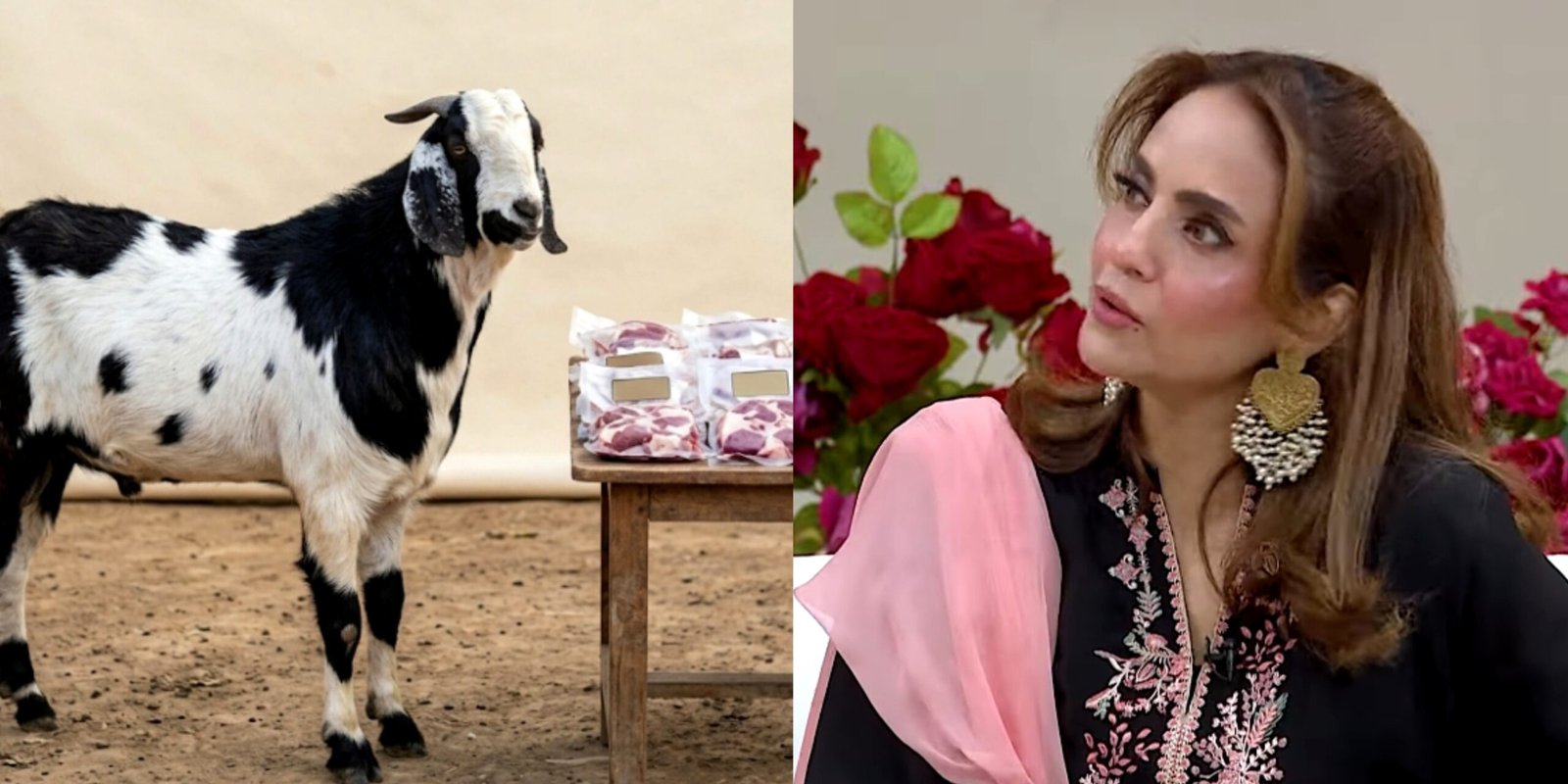 nadia-khan-2